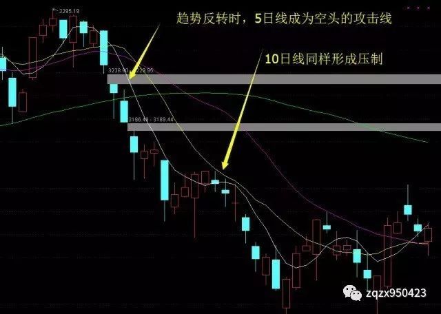乐鱼体育app2025版多人国战战斗画面