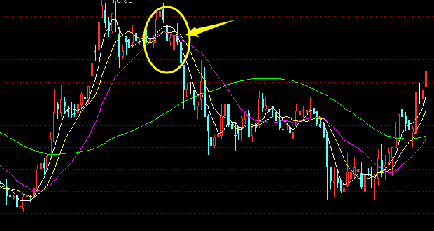 百家乐app2025最新版社交大厅与玩家互动场景