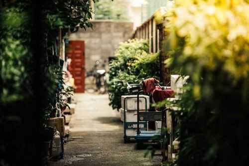小熊洗车APP