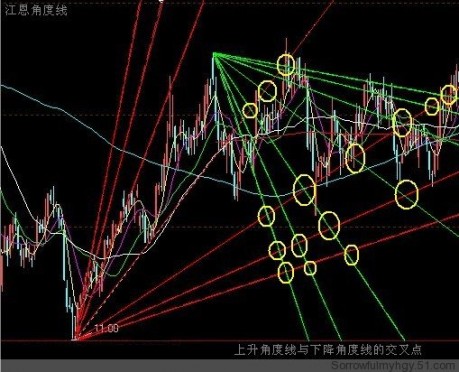 贵州药材APP