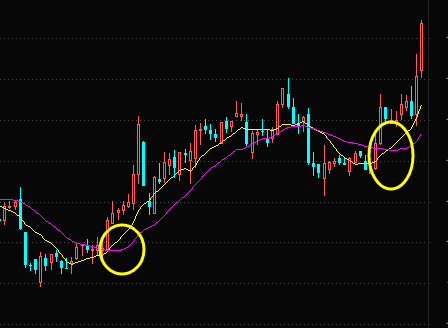高中生物通关游戏人教版修改版