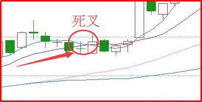 开云app最新官方