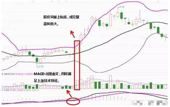 aoabetappV6.3专业版