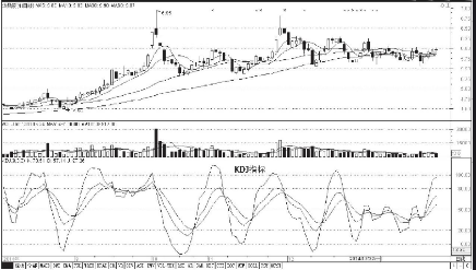 kaiyun.cn登录入口登录app下载安装 2025版 猫咪图鉴界面