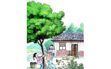 cc国际彩票app