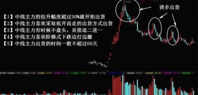 果博东方app安卓版二维码