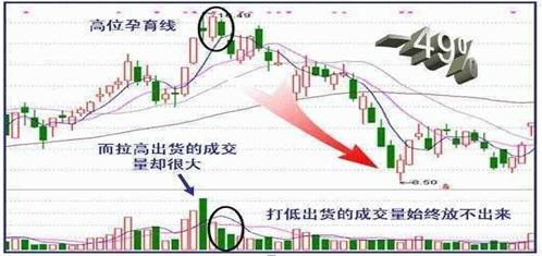 kaiyun体育app网页版入口在哪V7.6专业版