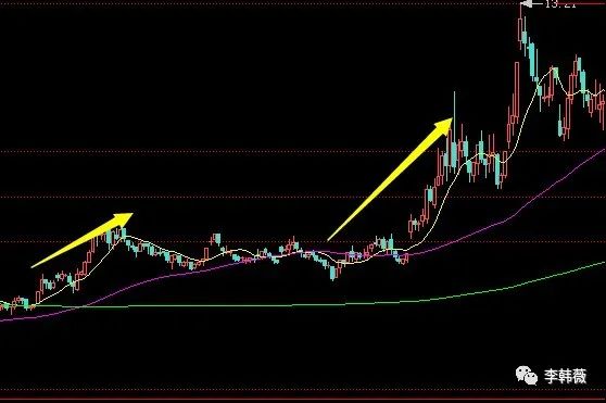 开云app最新官方2025版岛屿探索与解谜时刻