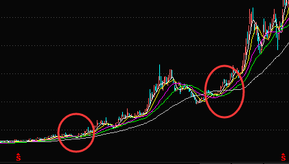 新彩网appV6.1专业版