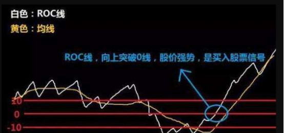 365beapp2025最新版角色创建界面