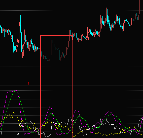 云开体育app手机入口V4.9专业版