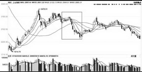 体育娱乐appV7.5专业版