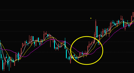开云官方登录网站V6.7专业版