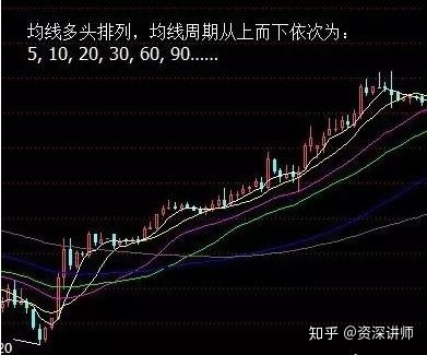 环球体育网站新版本新增动物伙伴彩雀