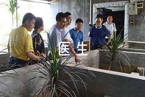 双彩网官方入口