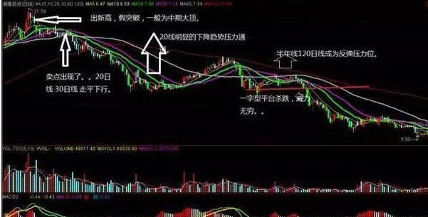 金莎娱城appV1.2专业版