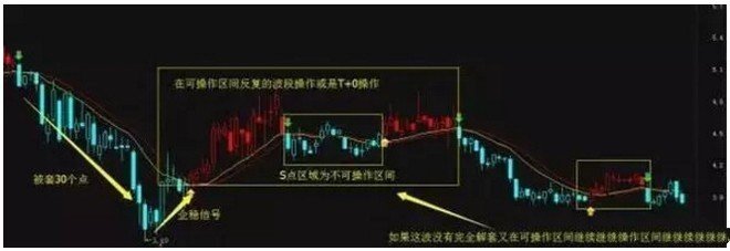 澳洲5app