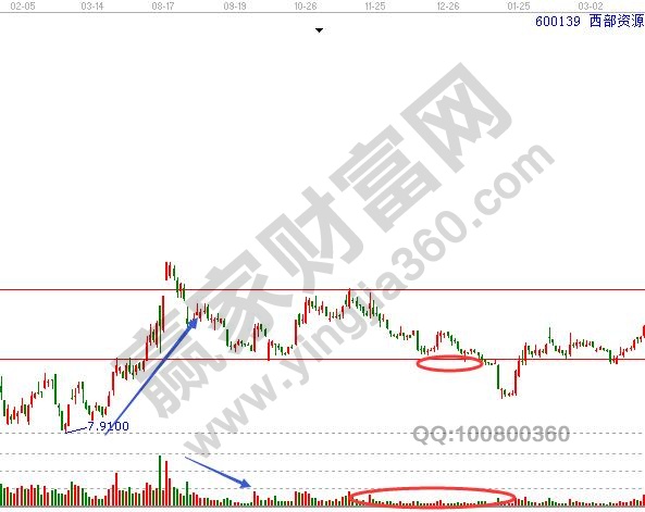 雷竟技app安卓版二维码