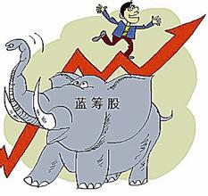 贵州药材APP