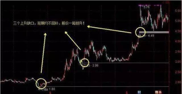 开云kaiyunapp最新版本下载