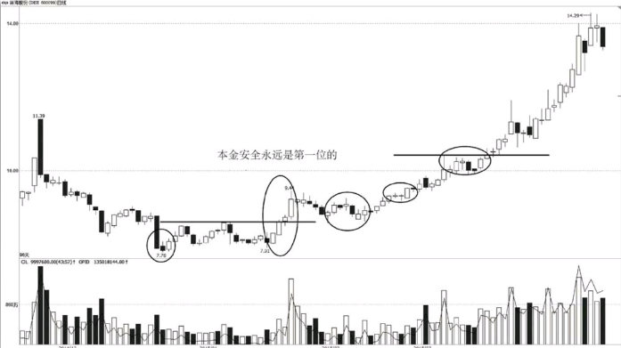 333体育app 2025最新版 角色创建界面