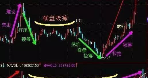 贵州药材APP