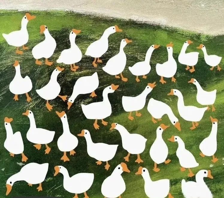 kaiyun.cn网页版V6.3专业版