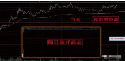 猫先生appV6.5专业版