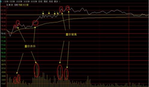 9965必赢游戏appV3.6专业版