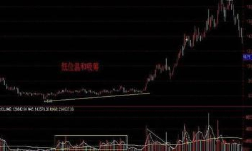 开云官方网页版V2.4专业版