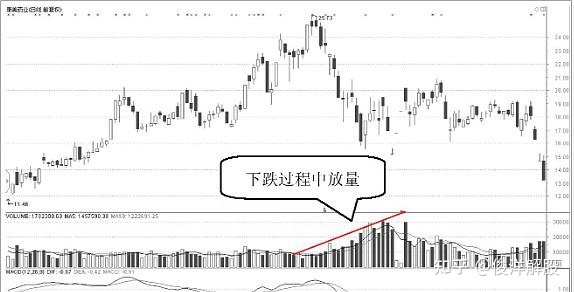 yoboo注册V2.3专业版