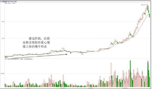 牛牛体育appV1.1专业版