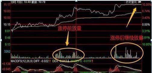 贝搏体育手机版2025最新版全角色集结展示图