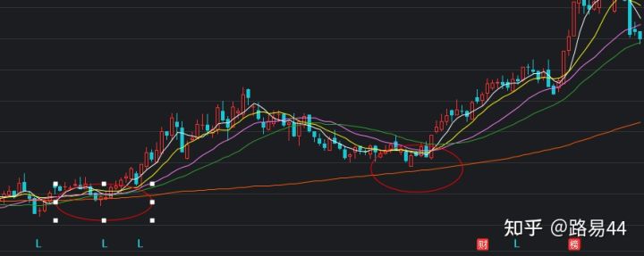 贵州药材APP