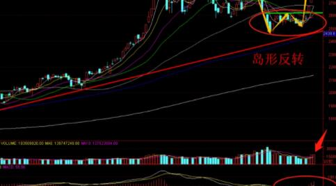 ag捕鱼王appV1.7专业版