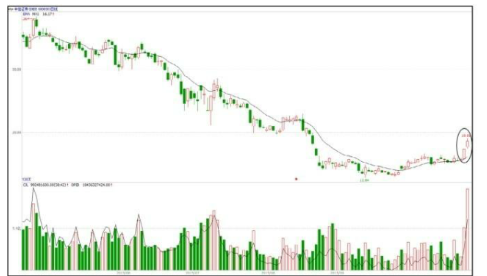 审判之光果盘手游