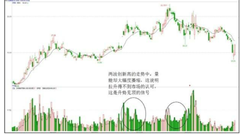 55世纪大发官网V6.3专业版