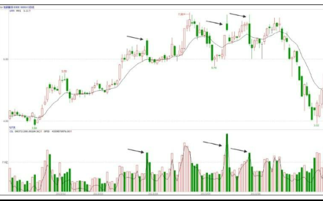 蛋蛋小子神奇之旅手游