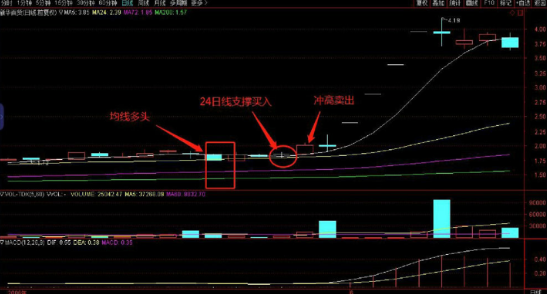 皇族电竞appV3.2专业版