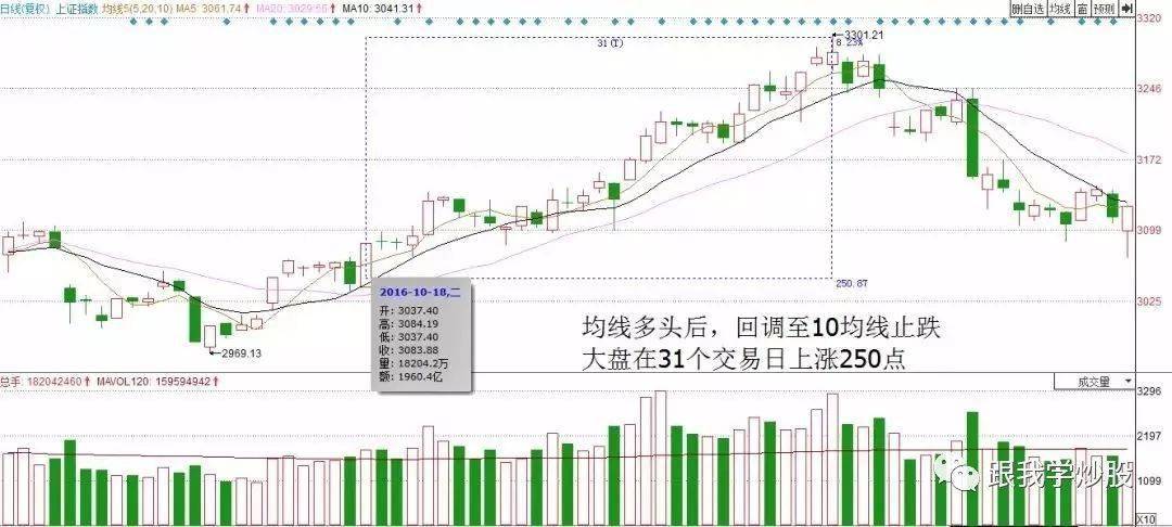 哥斯拉：攻击区