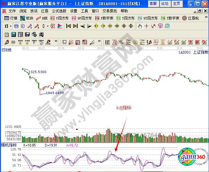 篮球赌注网站app