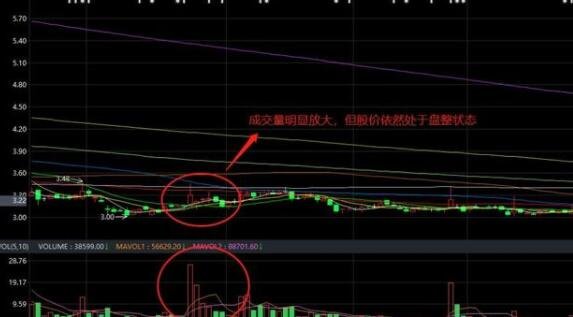 LeyuappV5.9专业版