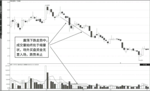 开云官方网站V5.2专业版