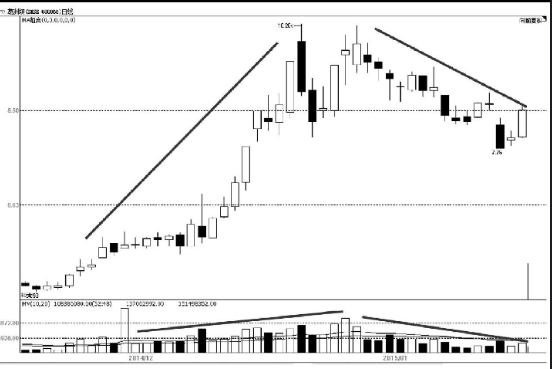 篮球体育APP安卓版二维码