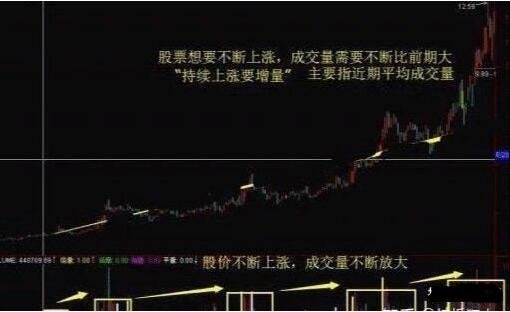 威斯尼斯appV1.7专业版
