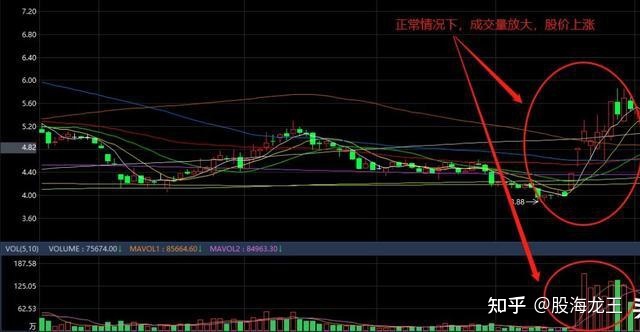 华人娱乐彩票老版安卓版二维码
