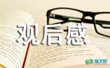 Ping Monitor(Ping网速监视)