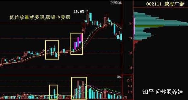 冠竞体育安装安卓版二维码