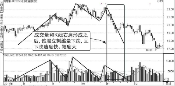 云开体育app官方下载安装V3.6专业版