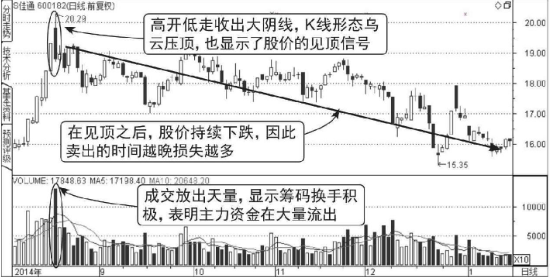 B·体育appV6.3专业版